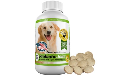 amazing-nutritionals-probiotic-joint-480