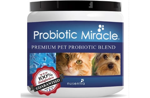 probiotic-miracle-480 probiotic-miracle-480