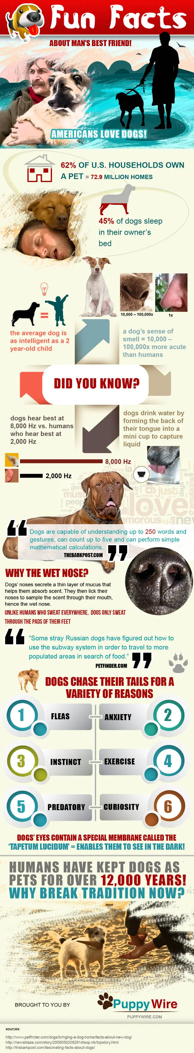 PuppyWire's Fun Facts About Man's Best Friend Infographic