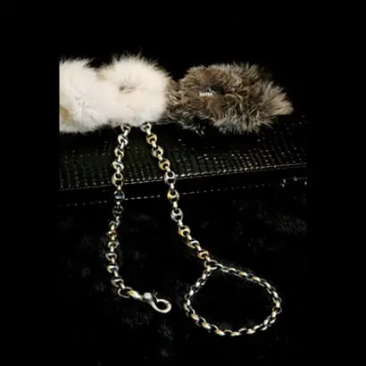 38 inch leash holder - Você daria este colar para seu Pet?