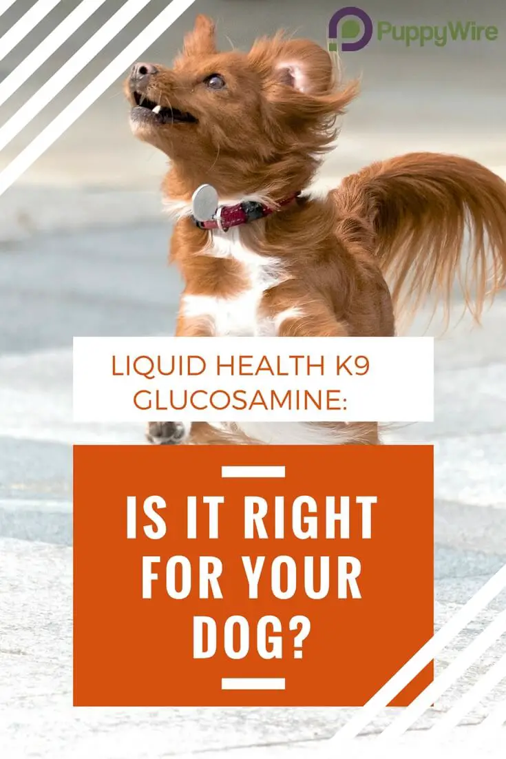 For this review, we looked at Liquid Health K9 Glucosamine joint supplement for dogs to see if it's a right fit for your dog. Check out our quick look to find out in 30 seconds.