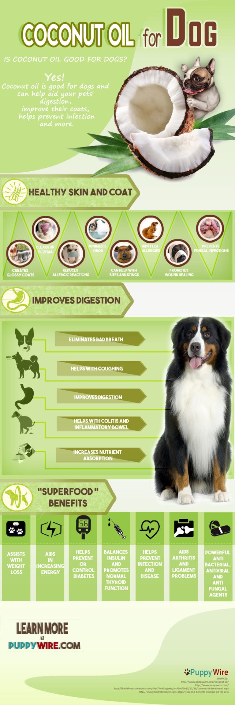 Best Coconut Oil for Dogs Guide & Top 5 Comparison