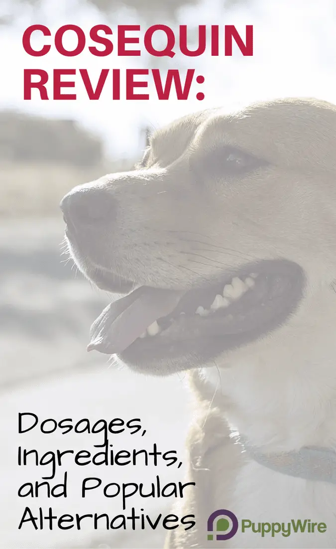 In this Cosequin for dogs review, we cover ingredients, proper dosages, customer thoughts and product alternatives.