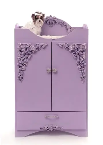 Couture Paisley Armoire