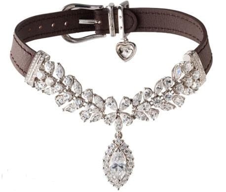 La Jeune Tulipe Dog Collar