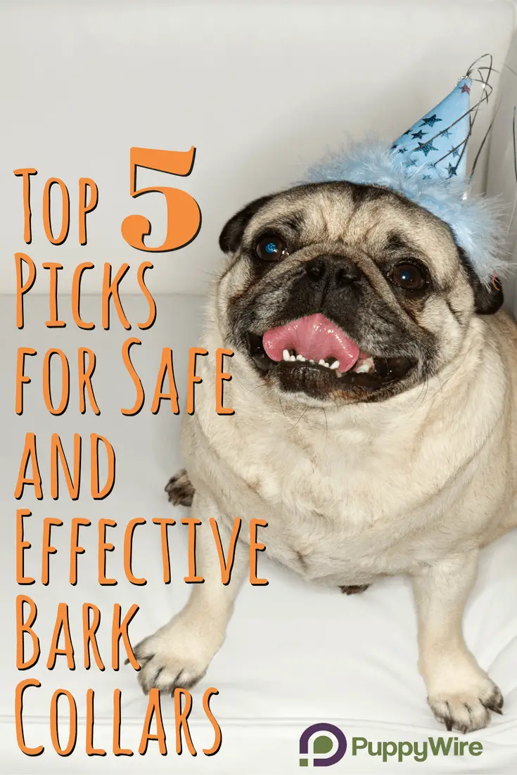 Read our in-depth guide to finding the best bark collar for your dog. We make sure you know what to look for so the anti bark collar you pick is safe and effective. We also cover bark collar reviews of our top 5 picks.