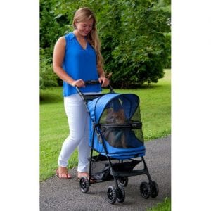 Small, happy dog sitting in a pet stroller