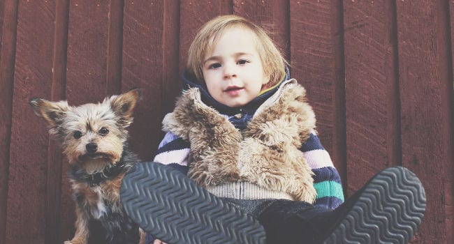 Yorkie chilling with a friend