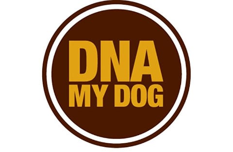 DNA My Dog Kit