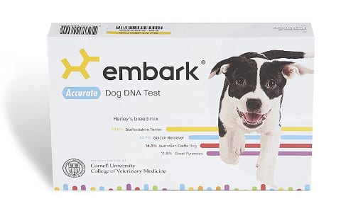 Embark Dog DNA Test