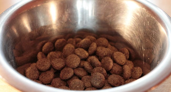 low-protein-dog-food650 low-protein-dog-food650