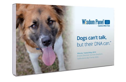 wisdom-panel-3-dna-test480 Wisdom Panel 3.0 DNA Test