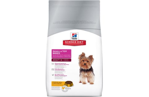 best canned dog food for yorkies