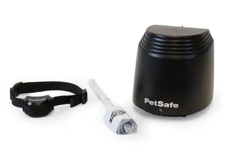PetSafe Stay + Play Wireless Dog Fence