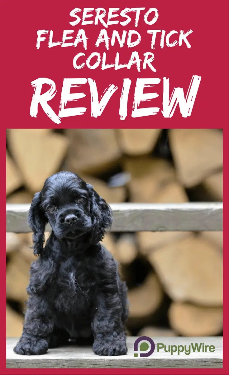 Seresto Flea & Tick Collar Reviews Will It Work On Your Dog?