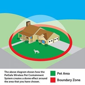 Wireless Dog Fence Boundaries