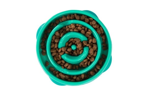outward-hound-fun-feeder-slow-feed-bowl480 Outward Hound Fun Feeder Bowl