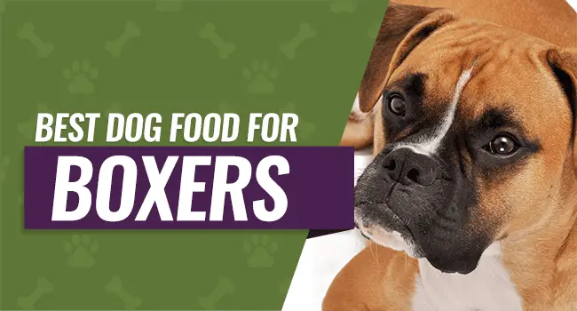 Boxer Puppy Food Chart