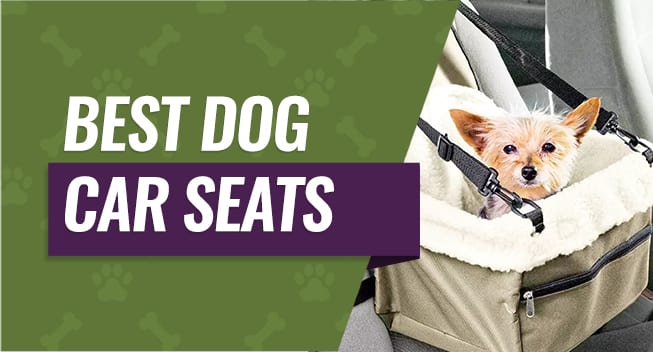 best-dog-car-seats Best Dog Car Seats