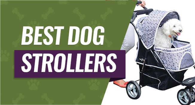 used dog stroller