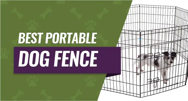 Best Portable Dog Fence
