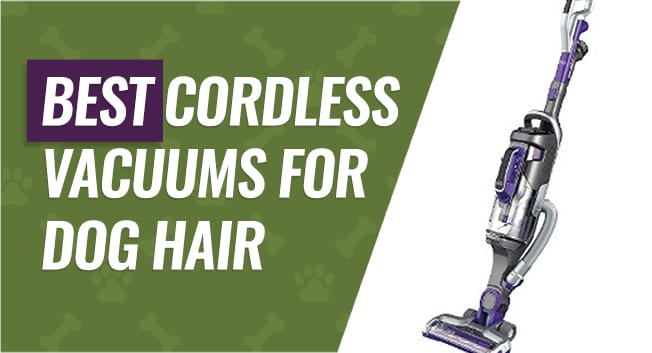 Cordless Vacuums to Pick Up Dog Hair