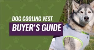 Dog Cooling Vest Buyer's Guide