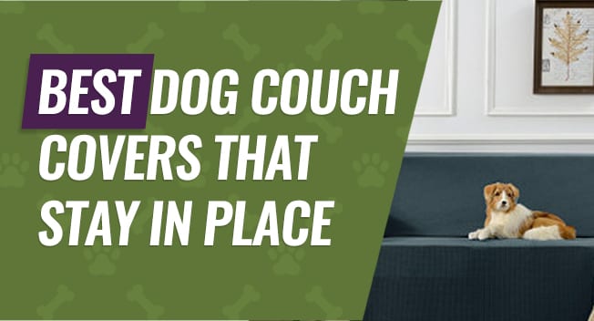 Covers to Protect Your Couch from Your Dog