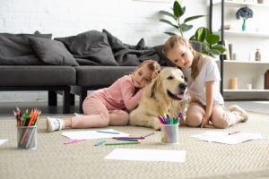 Dog at home playing with kids