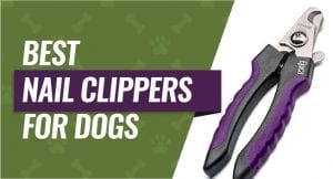 best dog nail clippers for big dogs