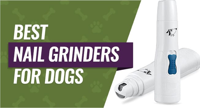 best nail grinder for small dogs