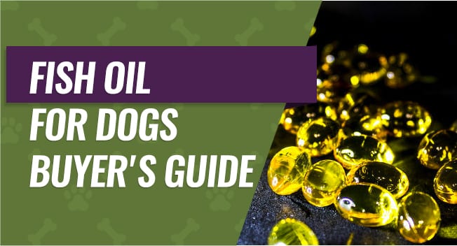 fish-oil-dogs Fish OIl for Dogs Buyer's Guide
