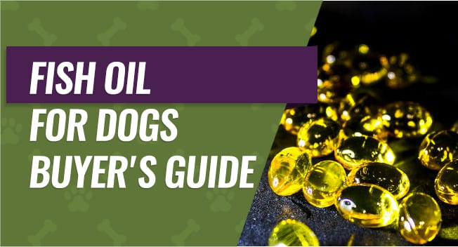 Fish OIl for Dogs Buyer's Guide