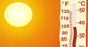 dog heat stroke survival guide
