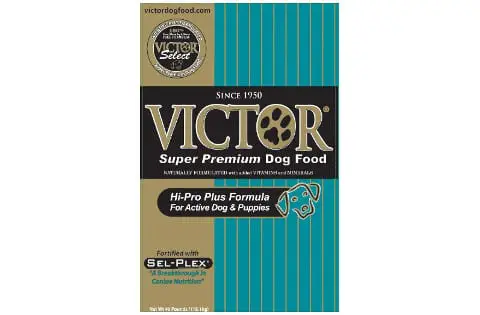 Victor Hi-Pro Plus Formula
