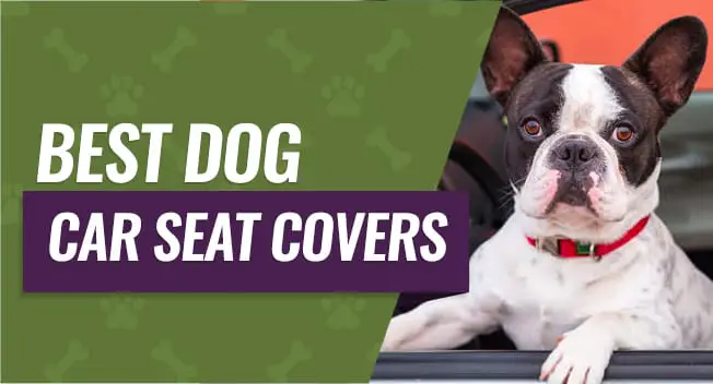 Best Car Seat Covers for Dogs