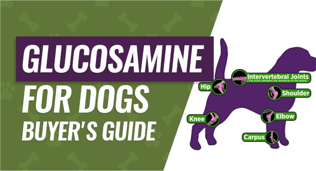 Glucosamine For Dogs Dosage Chart