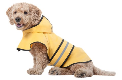 Rainy Days Slicker Yellow Dog Raincoat