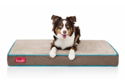 brindle-4-inch-solid-memory-foam-orthopedic-dog-bed480 Brindle 4-inch Solid Memory Foam Orthopedic Dog Bed