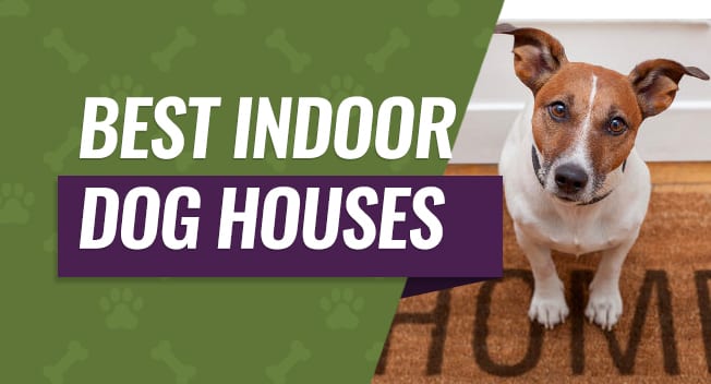 indoor-dog-houses Best Indoor Dog Houses