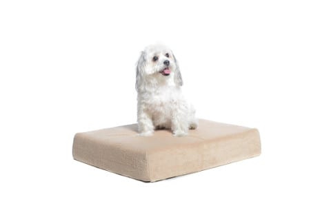 Milliard Premium Orthopedic Memory Foam Waterproof Dog Bed