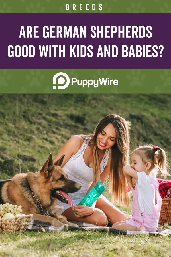 Are German Shepherds Good with Kids?
