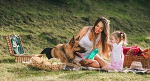 German Shepherd with happy kid and family