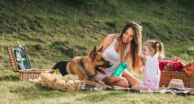 German Shepherd with happy kid and family