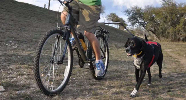Walkydog Plus Bike Leash for Dogs