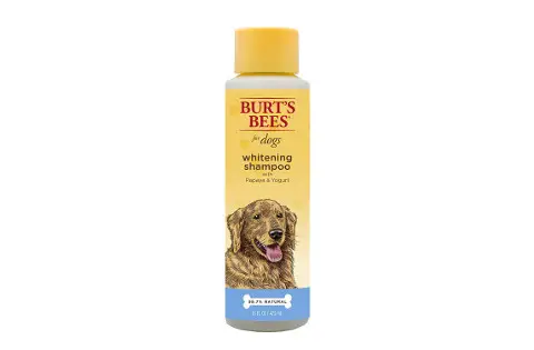 Burts Bees Dog Whitening Shampoo