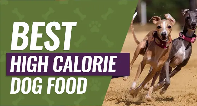 High calorie dog food for very active breeds