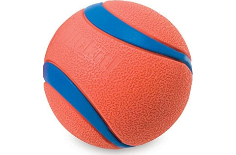 chuckit-ultra-dog-ball480 Chuckit! Ultra Ball