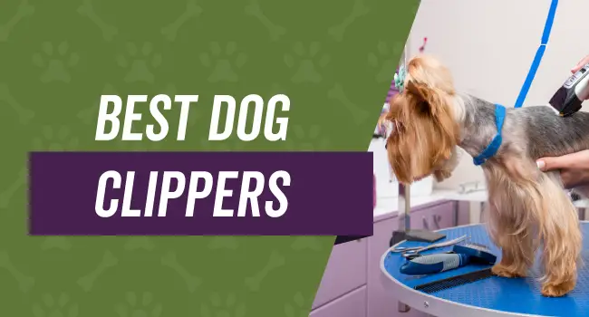 best rated dog grooming clippers