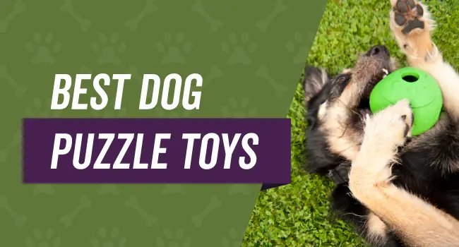 dog-puzzle-toys Best Dog Puzzle Toys